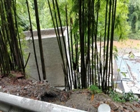 孔坪乡一体化废水收集处理工程及设计（雅安）