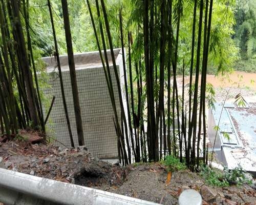 孔坪乡一体化废水收集处理工程及设计（雅安）